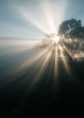 Light Beams Through Morning Fog Photography