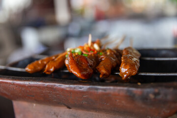 Indonesian Satay on the Grill