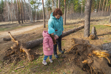 grandmother with granddaughter walking in nature in the forest