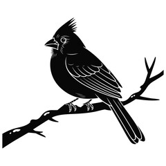 bird on a branch of tree