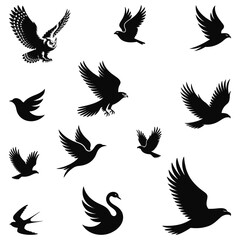 Fototapeta premium set of birds