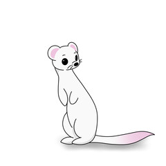 Cute Animal