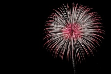 Pink and White Fireworks Burst: A Nighttime Pyrotechnic Display