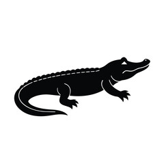 vector illustration of a crocodile
