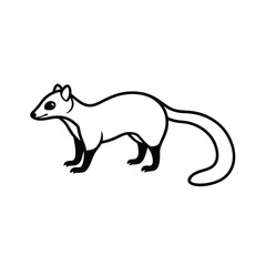 vector illustration of a squirrel