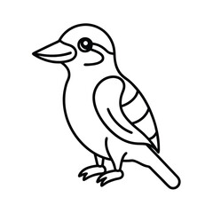 australian kookaburra outline drawing