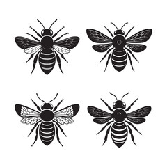 collection of insects