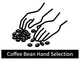 Coffee Bean Hand Selection - Simple Line Art