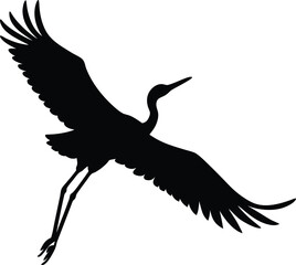 A black and white bird flying in the air. The bird is a crane