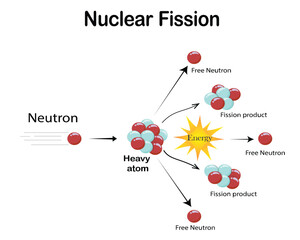 Nuclear Fission Reaction Diagram showing Free Neutron, Target Nucleus, Fission Products, and Energy Release Chain