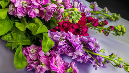 Bouquet of delicate lilac pink and red matthiola flowers on a light background. Gift for a holiday