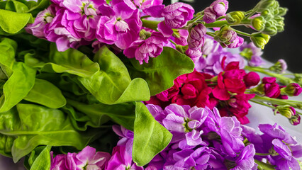Bouquet of delicate lilac pink and red matthiola flowers on a light background. Gift for a holiday