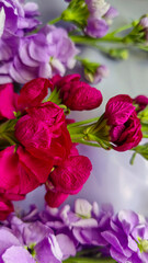 Bouquet of delicate lilac pink and red matthiola flowers on a light background. Gift for a holiday