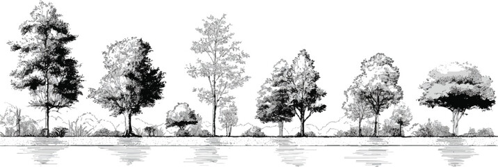 Tree Grunge vector Architectural Drawings, Minimal style cad tree line drawing, Minimal style CAD tree line drawing, side view, a set  © appl