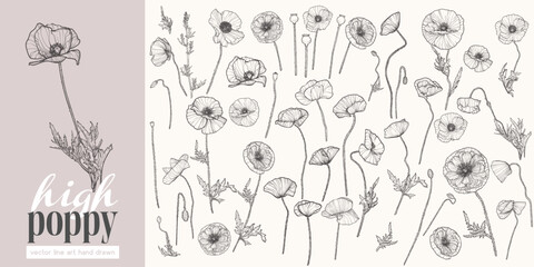 Set of highly detailed flowers. Trendy botanical elements. Hand drawn line leaves, stems and blooming. Wedding elegant poppies for invitation, save the date, card. Black vector line art hand drawn.
