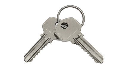 Keys with key ring against black background