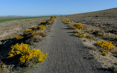 VIA VERDE DE OJOS NEGROS. TERUEL