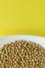 LENTEJAS (Lens Culinaris)