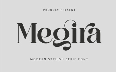 Modern stylish serif font design