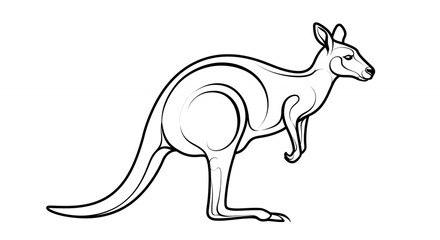 Fototapeta premium Kangaroo line drawing