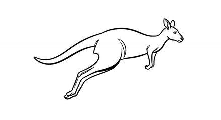 Obraz premium Kangaroo line drawing illustration