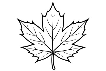 maple leaf silhouette line art vector illustration with a white background