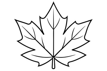 maple leaf silhouette line art vector illustration with a white background