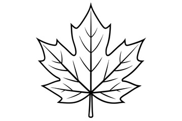 maple leaf silhouette line art vector illustration with a white background