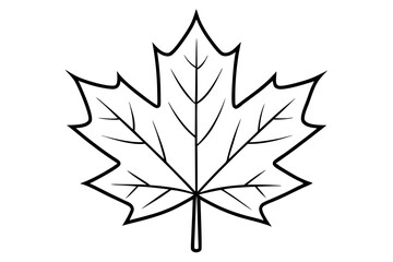 maple leaf silhouette line art vector illustration with a white background