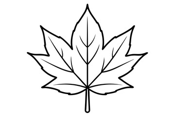 maple leaf silhouette line art vector illustration with a white background