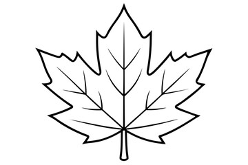 maple leaf silhouette line art vector illustration with a white background