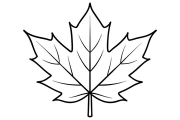 maple leaf silhouette line art vector illustration with a white background