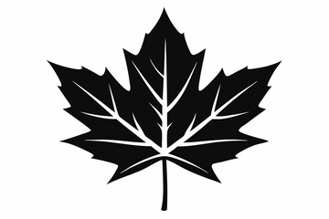 maple leaf silhouette line art vector illustration with a white background