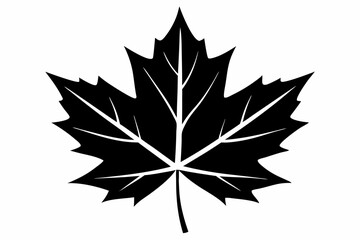 maple leaf silhouette line art vector illustration with a white background