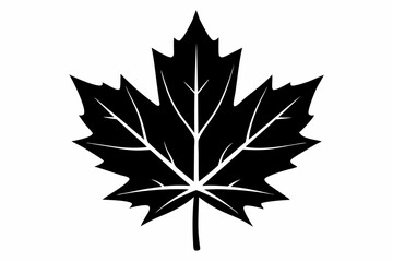 maple leaf silhouette line art vector illustration with a white background