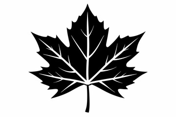 maple leaf silhouette line art vector illustration with a white background