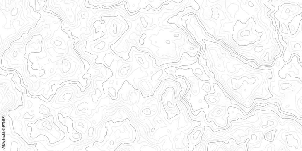 Poster geographic world topography map grid abstract. topo map with elevation. contour map. abstract topogr