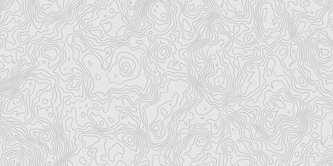 Geographic World Topography map grid abstract. Topo map with elevation. Contour map. Abstract topographic contour map on white background concept.
