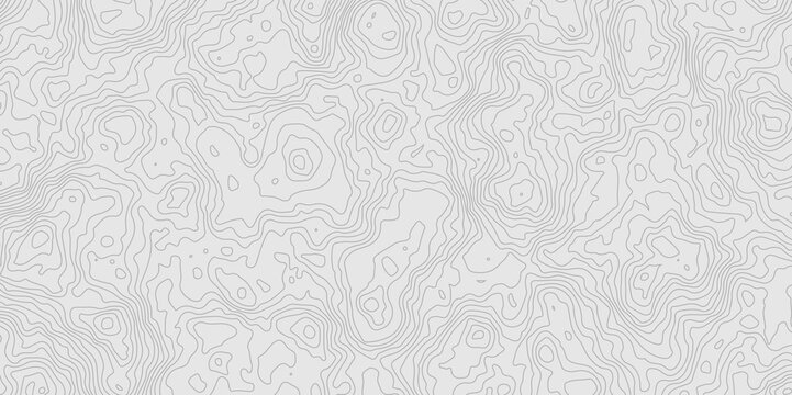 Geographic World Topography map&nbsp;grid&nbsp;abstract. Topo map with elevation. Contour map. Abstract topographic contour map on white background concept.