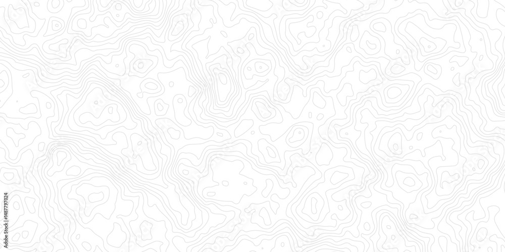 Poster geographic world topography map grid abstract. topo map with elevation. contour map. abstract topogr