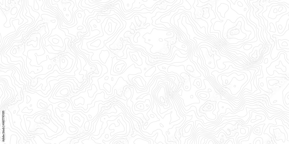 Poster geographic world topography map grid abstract. topo map with elevation. contour map. abstract topogr