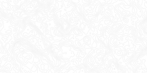 Geographic World Topography map grid abstract. Topo map with elevation. Contour map. Abstract topographic contour map on white background concept.