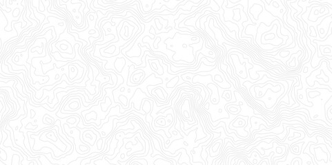 Geographic World Topography map grid abstract. Topo map with elevation. Contour map. Abstract topographic contour map on white background concept.