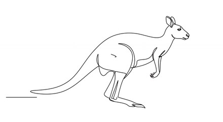 Fototapeta premium Line art kangaroo