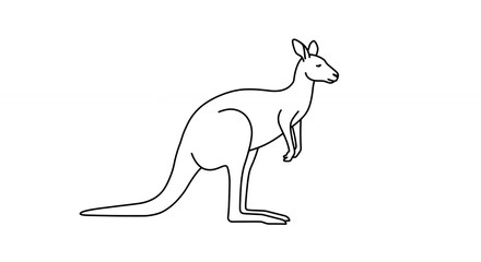 Line art kangaroo illustration