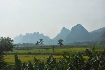 Rice paddies in Central Vietnam during Southeast Asian haze