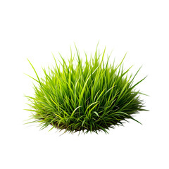 Lush Green Grass Tuft Isolated on Black Background Perfect for Nature Designs and Landscaping Projects