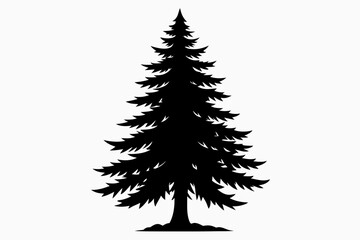 spruce tree silhouette line art vector illustration with a white background