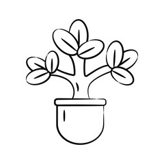 Get a glimpse our hand drawn icon of jade plant