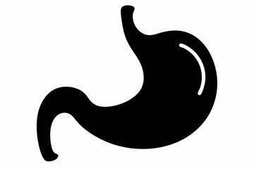 stomach silhouette line art vector illustration with a white background